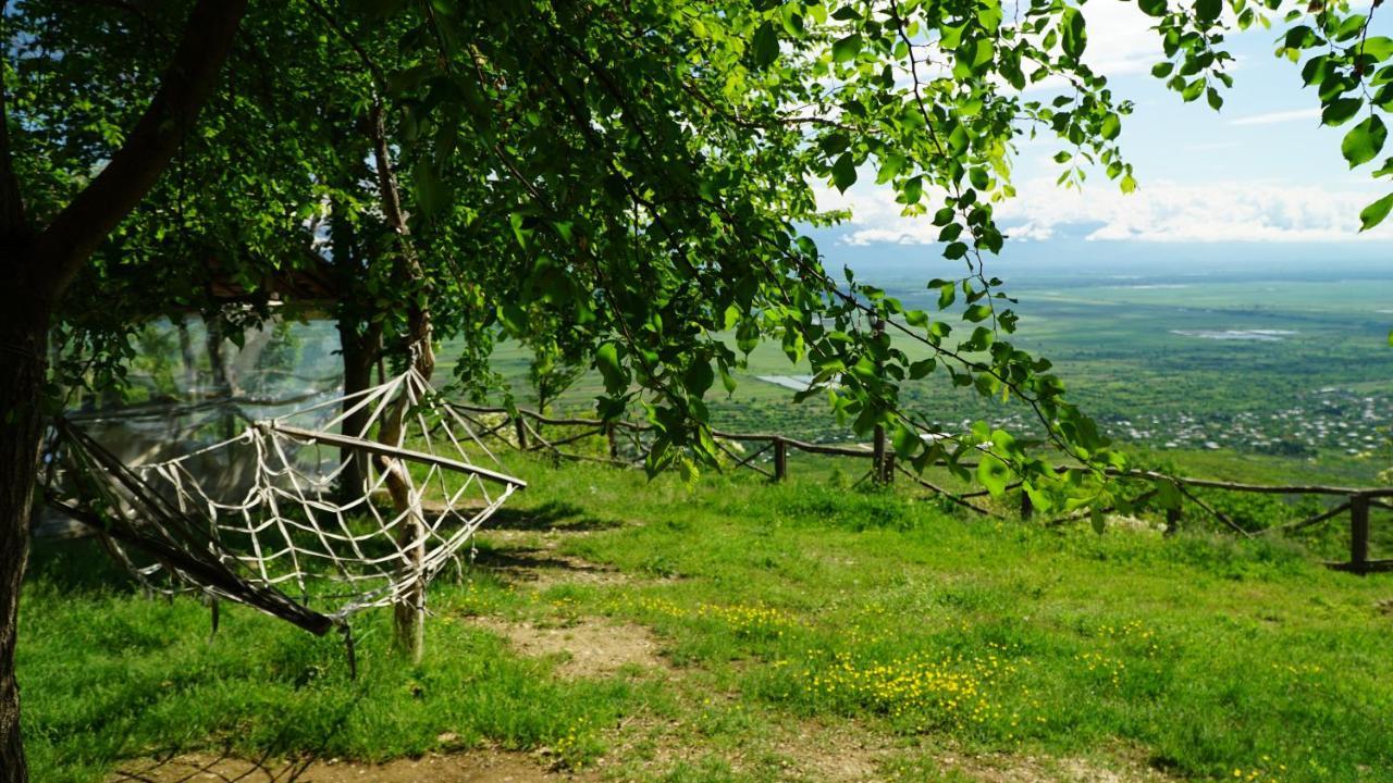 Tsanava'S Cottage In Sighnaghi Zewnętrze zdjęcie