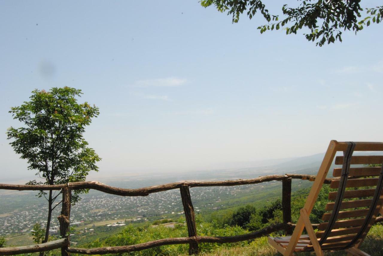 Tsanava'S Cottage In Sighnaghi Zewnętrze zdjęcie